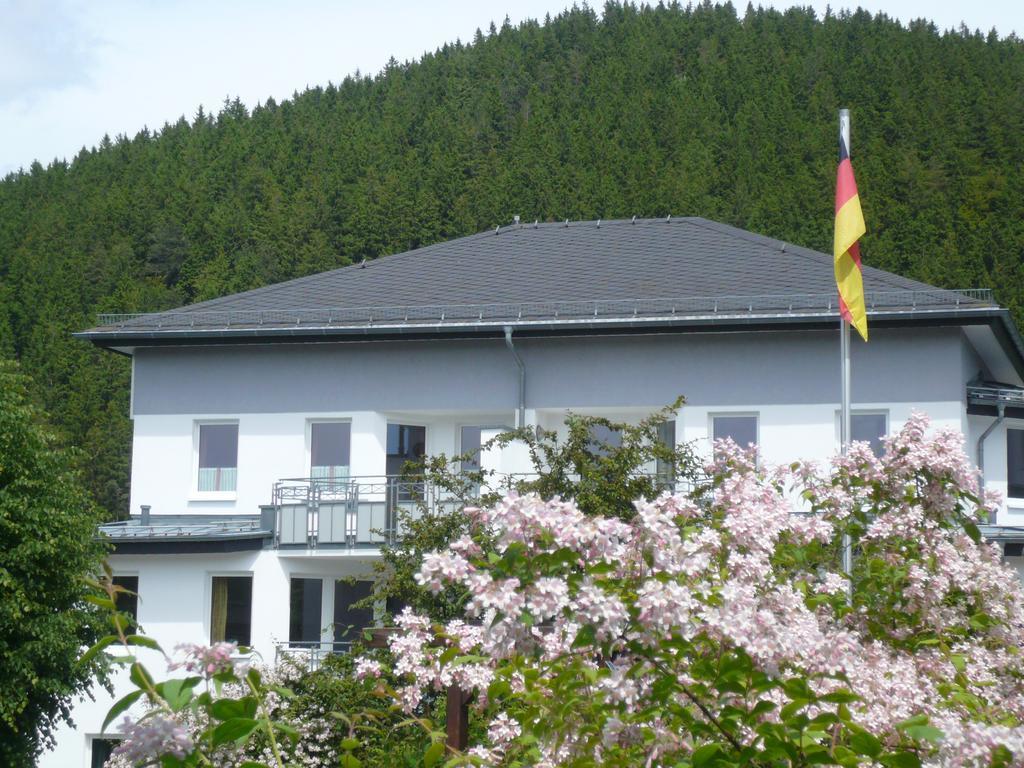 Fewo Penthaus-Blick Виллинген Экстерьер фото